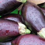 eggplant