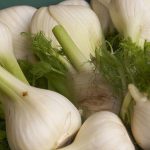 fennel