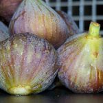 figs