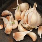 garlic1