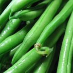 green-beans