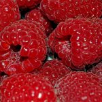 raspberries