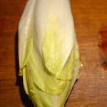 chicory