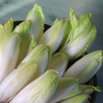 endive