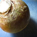 rutabaga