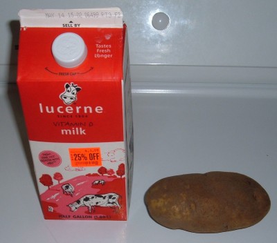 day 15 milk and potato day 15 milk and potato