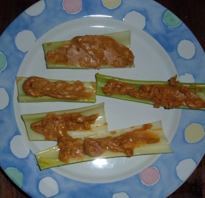 day 21 snack day 21 snack