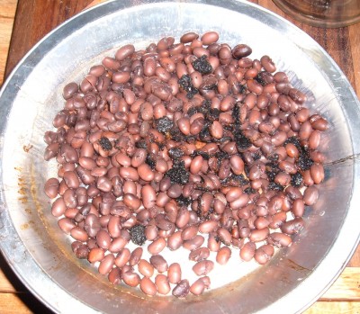 day 22 bean burnt