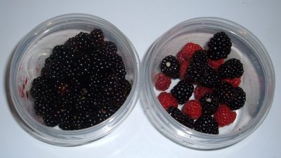 back berries and raspberries