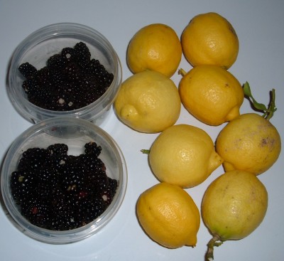 lemons and blackberries