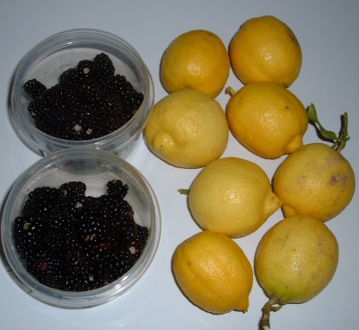 lemons and blackberries lemons and blackberries