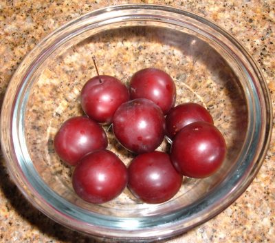 cherry plums cherry plums