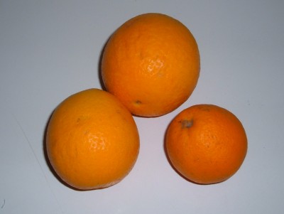 oranges