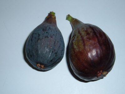 black figs