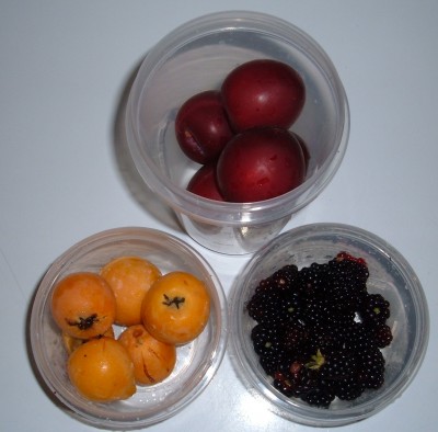 plums loquats blackberries