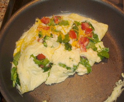 omelet flip
