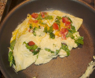 omelet flip omelet flip