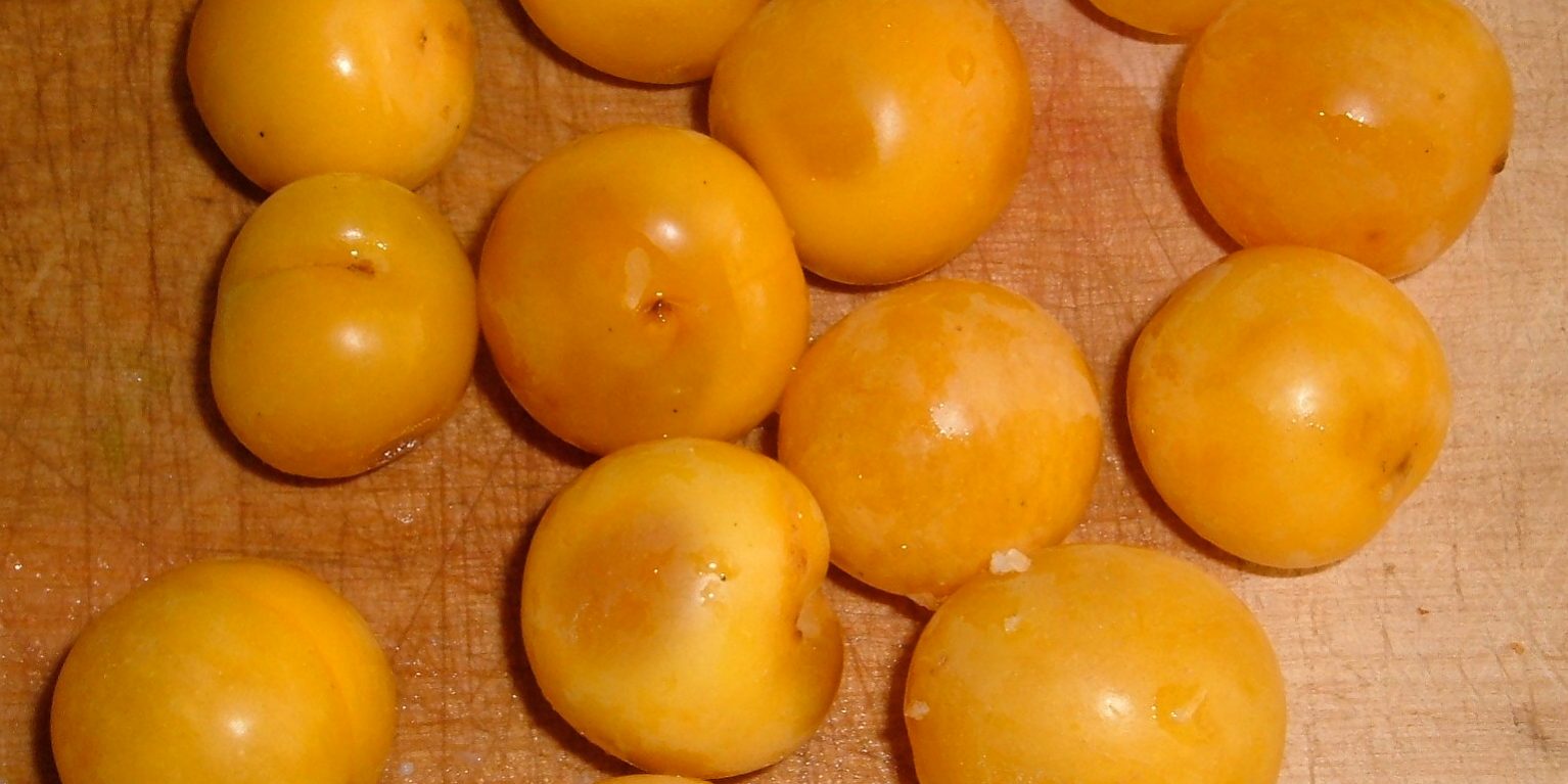 smoothie plums