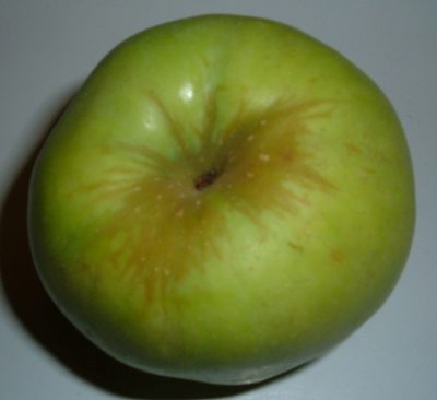 apple apple