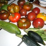 day 98 garden produce