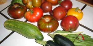 day 98 garden produce