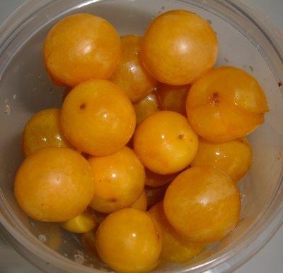 yellow cherry plums yellow cherry plums