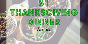 thanksgiving dinner ideas, cheap thanksgiving dinner, affordable thanksgiving dinner ideas