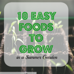food to grow, summer garden, veggies to grow in a garden