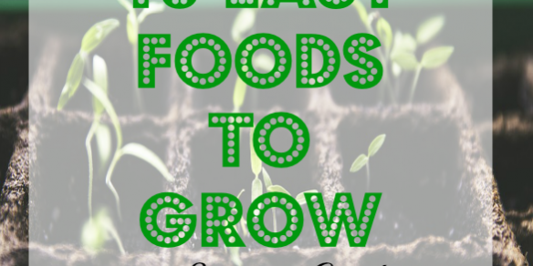 food to grow, summer garden, veggies to grow in a garden