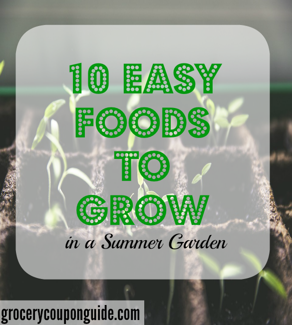 food to grow, summer garden, veggies to grow in a garden