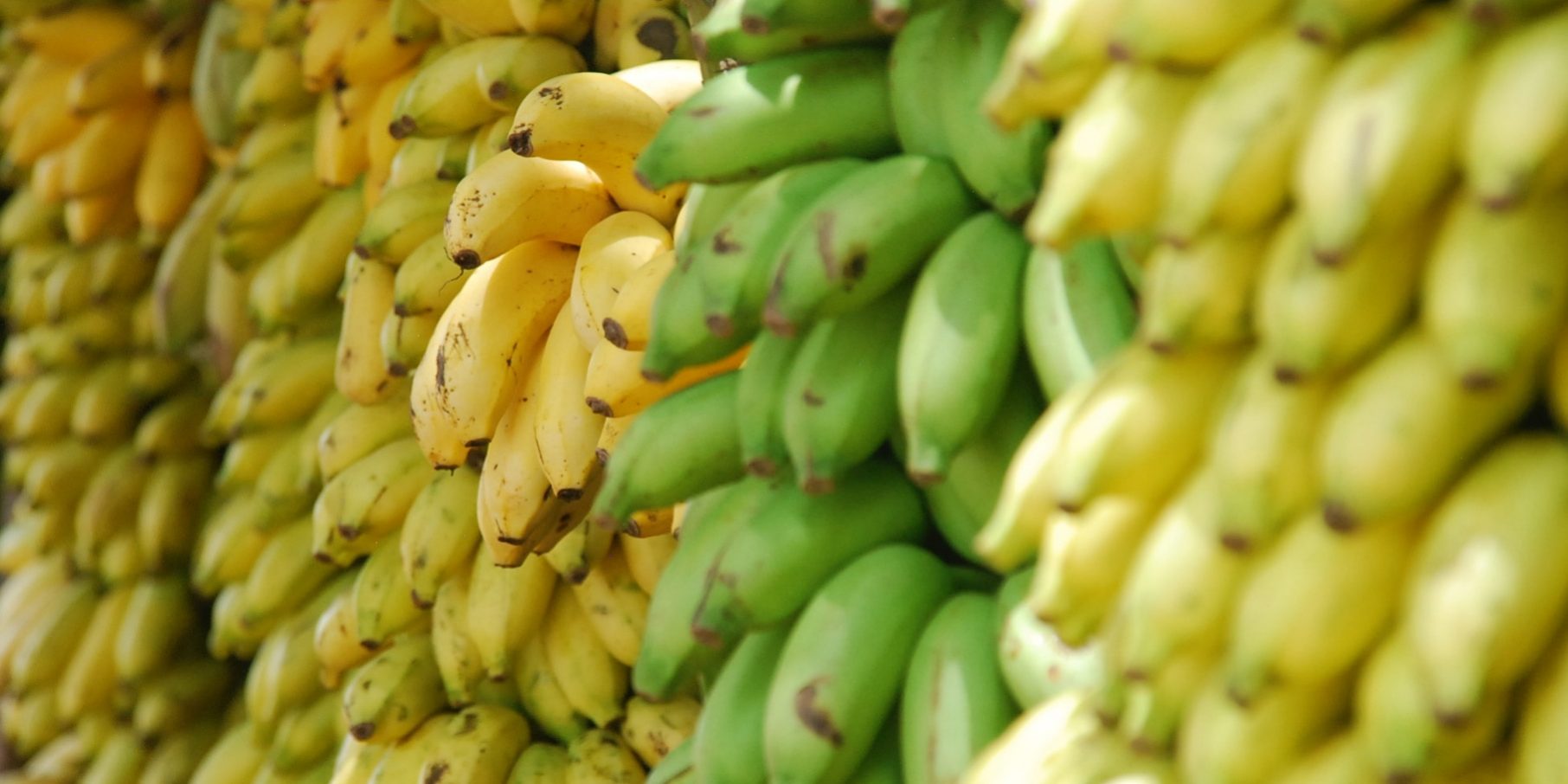 What to Buy at Trader Joe's: Bananas