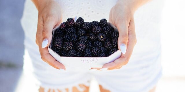 How to buy fresh blackberries