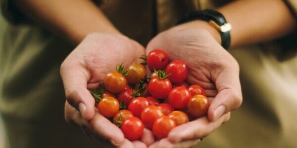 Grocery Gardening