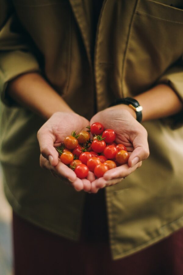 Grocery Gardening