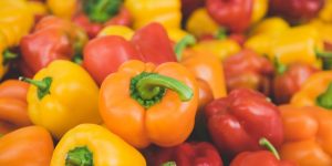 cheap and easy meals for the week