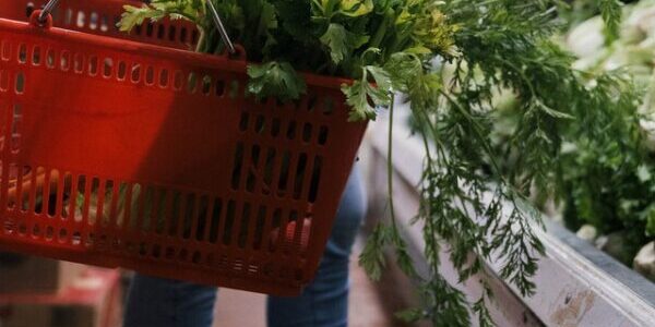 Grocery Deals This Week