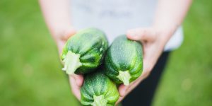 Low Calorie Food Substitutions