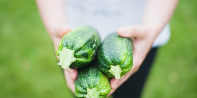 Low Calorie Food Substitutions