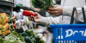 Top Grocery Chains