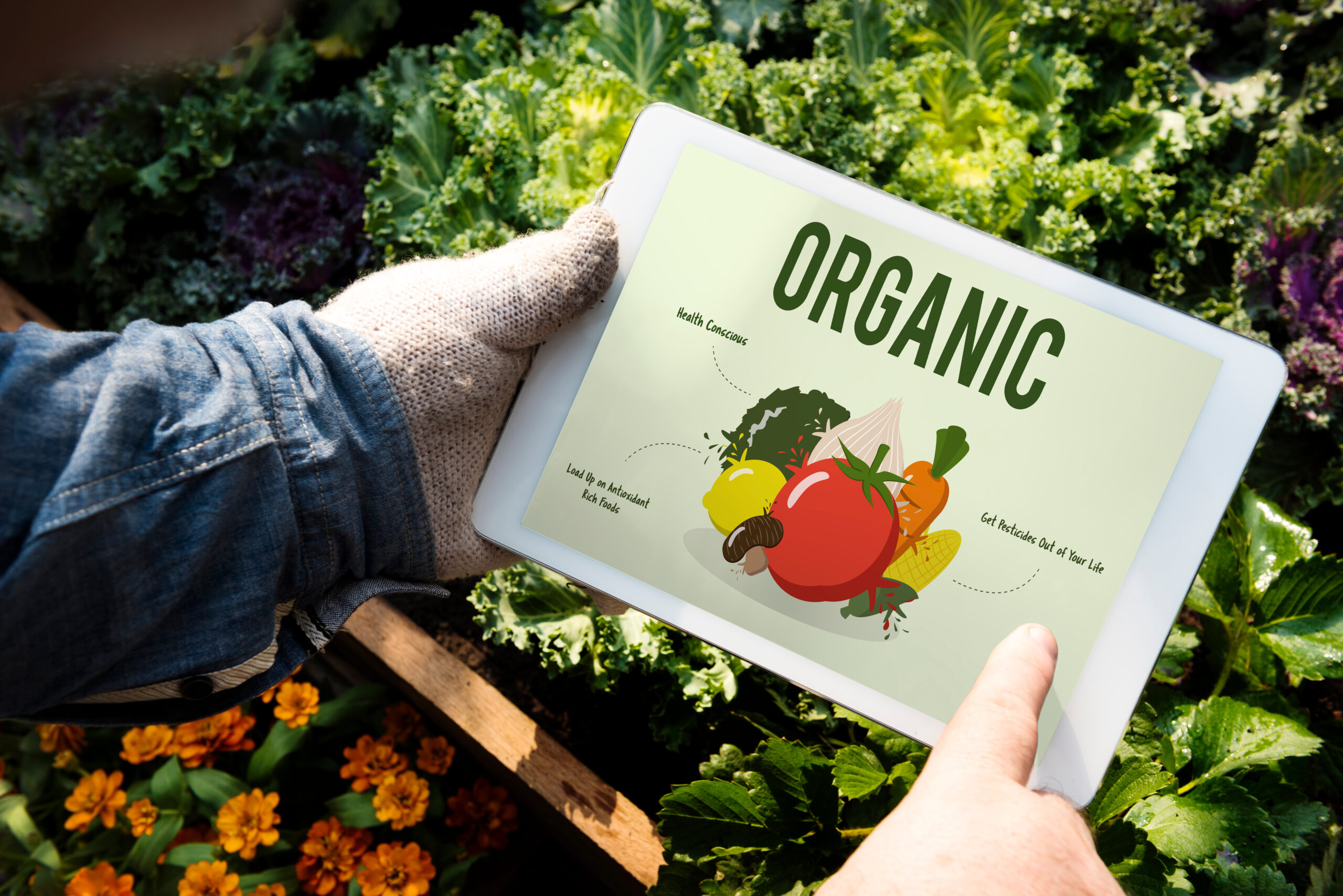 Healthy Eating Food Lifestyle Organic Wellness Word Graphic - Grocery