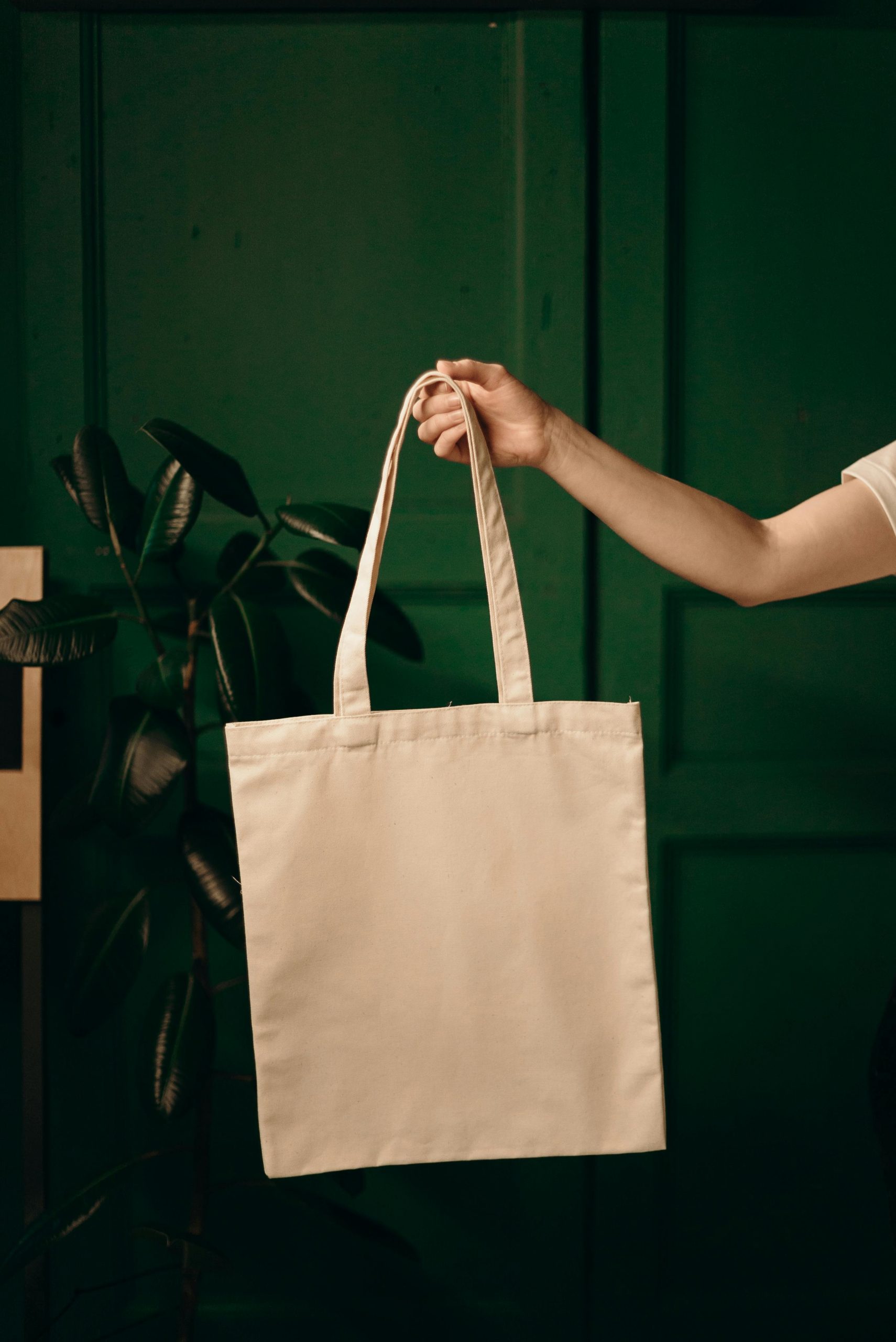 4. Reusable Shopping Bags