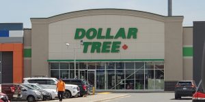 Never Buy These 8 Items From Dollar Tree