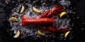 Red lobster with ice and lime,Top view of fresh Lobster