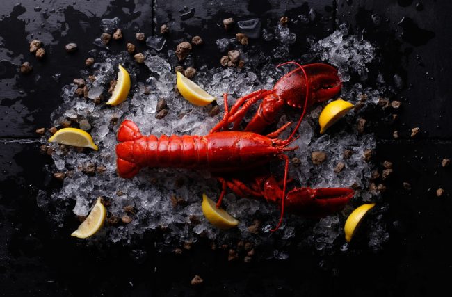 Red lobster with ice and lime,Top view of fresh Lobster