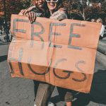 7 Amazing Freebies You Can Score Online Right Now