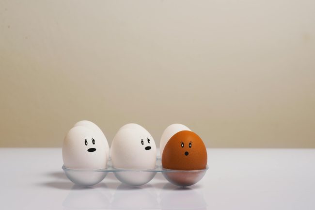 10 Genius Ways to Save on Eggs (Even When Prices Are Skyrocketing)