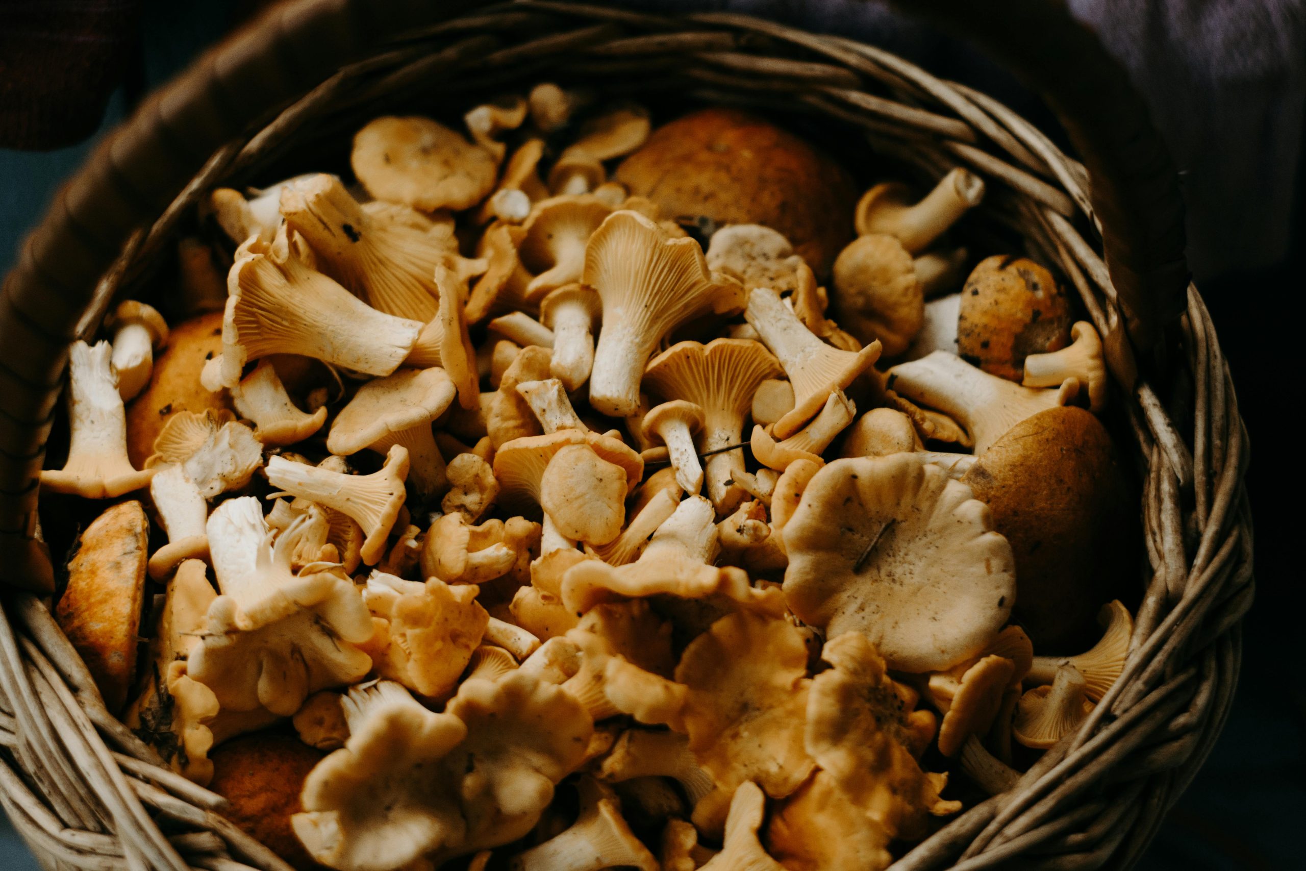 6. Mushrooms