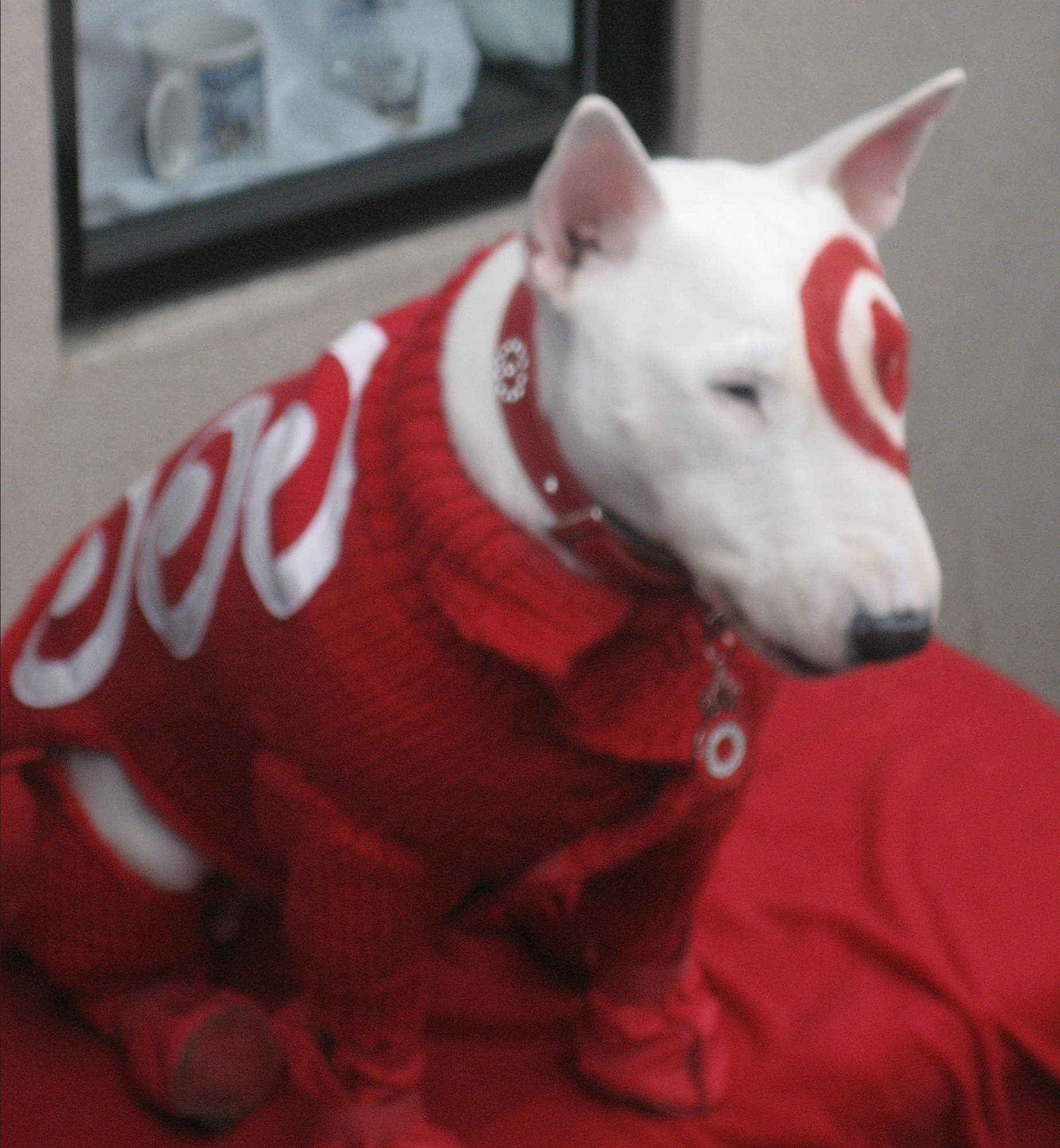5. Bullseye's Playground Seasonal Items