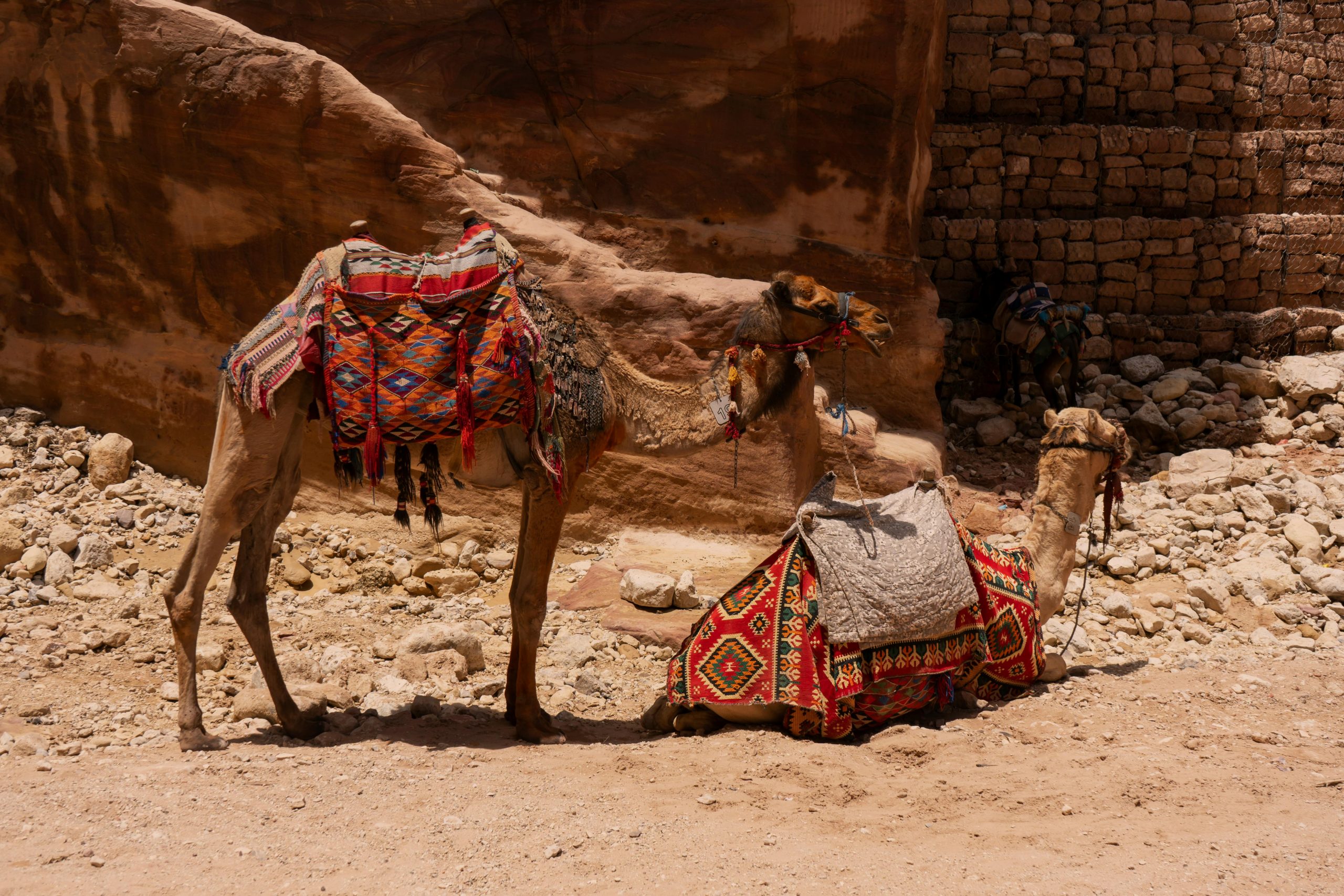 10. No Fishing from a Camel’s Back in Idaho