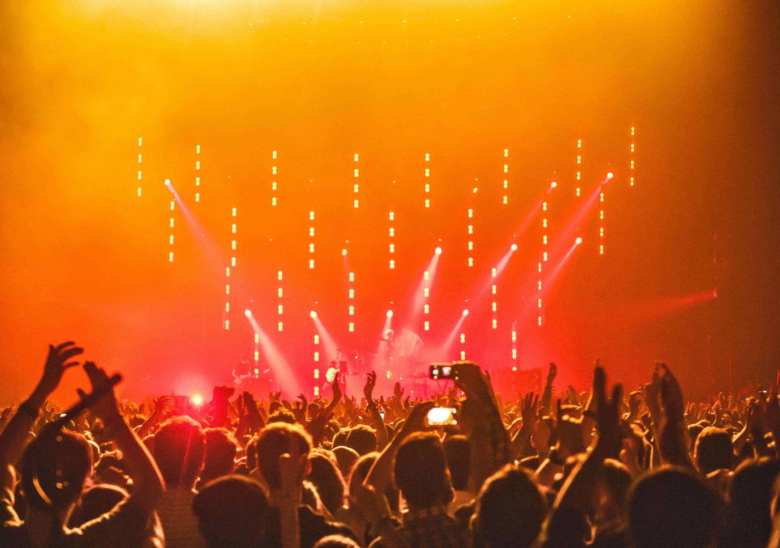 3. The Party Animal Who Never Slows Down